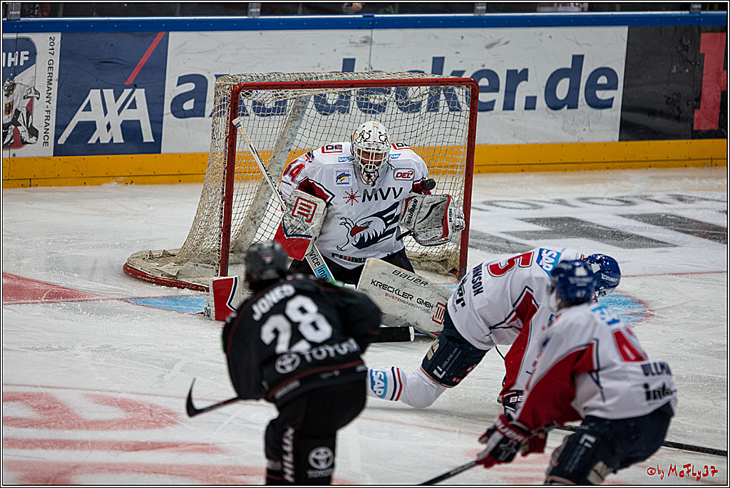 DEL, Koelner Haie - Adler Mannheim, 05.02.2017